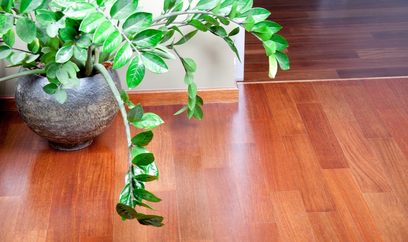 Floor Cleaning