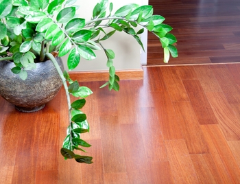Floor Cleaning